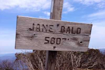 Jane Bald, Roan Highlands