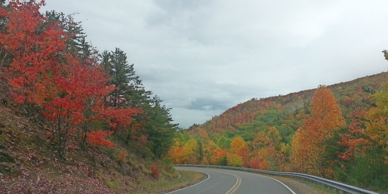 The Road to Carvers Gap